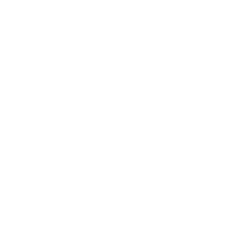 Black Swan Group